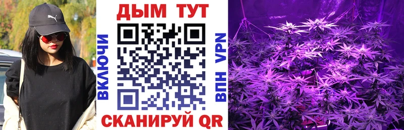 Марихуана SATIVA & INDICA Камбарка